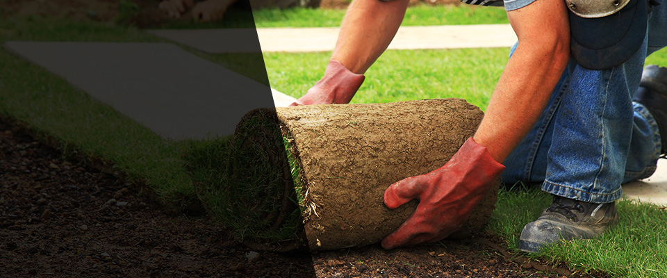 Lake Ozark Landscapers